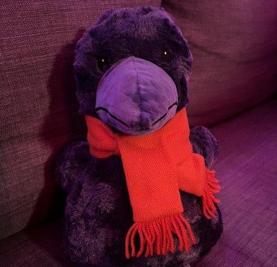 Guest review image 1 of 1, zoom in