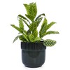 NAYSAYE Planter Set of 3 Ceramic Flowerpot Modern Sleek Design for Indoor Outdoor Garden, Black, 15"*15"*14.2" - 2 of 4