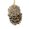 Roman 3.25 In Animal In Pinecone Ornament Christmas Wildlife Friends Tree Ornaments - 3 of 3