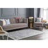 Hauteloom Alcester Gray Premium Sheen Carpet - 4 of 4