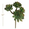 Floral Home 12" Echeveria Lifelike Succulent - 12-Piece - 2 of 2