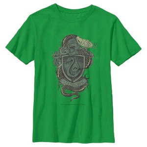 Boy's Harry Potter Slytherin Coat of Arms T-Shirt - 1 of 4