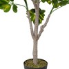Northlight 4.25' Unlit Artificial Potted Two Tone Scheffera Plant Tree - 3 of 4