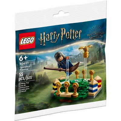 Harry Potter LEGO book w/ Voldemort minifigure Witches Wizards Creatures &  more