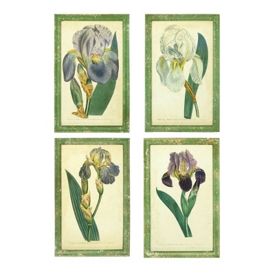 13.3" x 21.2" (Set of 4) Styles Vintage Iris Flowers in Distressed Wood Frame - 3R Studios