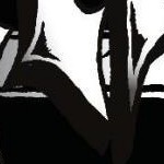 clear push pins bundle