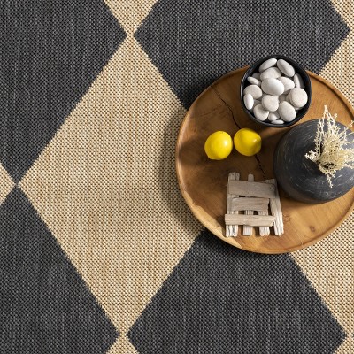 Sabina Dark Gray and Beige Synthetic Diamond Trellis 8' x 10' Area Rug