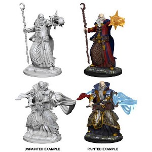 Dungeons & Dragons Nolzur's Marvelous Miniatures - Human Male Wizard - 1 of 1
