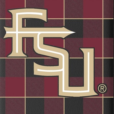 florida state seminoles athletic wordmark