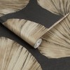 Palm Fan Charcoal Dark Grey Leaves Tropical Paste the Wall Wallpaper - 3 of 4