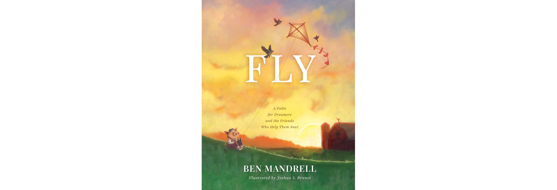 Fly - by  Ben Mandrell (Hardcover)