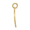Black Bow Jewelry 14k Yellow Gold Good Luck Horseshoe Charm or Pendant, 15mm (9/16 inch) - 2 of 4