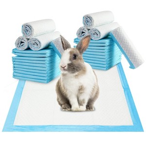 33cm x 45cm 13"x18" 100 Pcs Premium Disposable Training Pads, Pee Pads, Training Pads, Disposable Puppy Pee Pads, Quick Absorb and Odor Control - 1 of 4