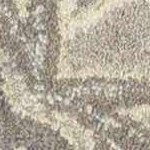 taupe, charcoal, black