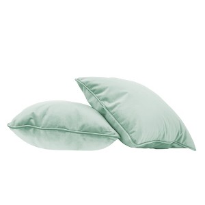 Factory Direct Partners Kids' Novelty Soft Density 18"x18" Microfiber Pillow with Piping Aloe Green - 1 of 4