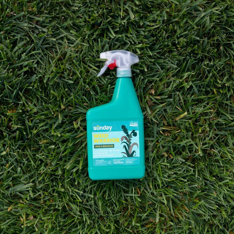 Sunday 32oz Weed Warrior Herbicide Spot Treatment, 2 of 9