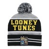 Looney Tunes Striped Youth Pom Beanie and Gloves Set - 2 of 4