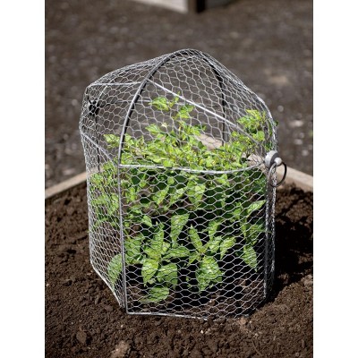 Galvanized Metal Chicken Wire Garden Cloche Protector