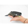 Collectible Wildlife Gifts | Whale, Sperm Whale, Cetacean, Marine Mammal, Museum Quality, Hand Painted, Rubber, Toy Model, Gift,  9"   CH377 BB141 - 2 of 4