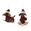 Plush Ski and Snowboard Dog Ornament (Set of 6) - 3 of 4