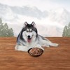 Blue Buffalo Wilderness High Protein, Natural Senior Wet Dog Food Turkey & Chicken Grill - 12.5oz - 4 of 4