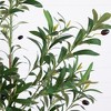 Nearly Natural 6-ft Artificial Minimalist Olive Tree in White Decorative Planter - 3 of 4