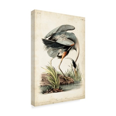 Trademark Fine Art -John James Audubon 'Blue Heron Portrait' Canvas Art