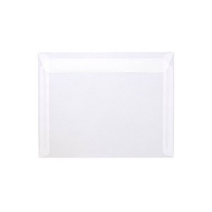 JAM Paper 9.5 x 12.625 Booklet Translucent Vellum Envelopes Clear 2851377 - 1 of 2