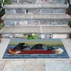 Liora Manne Frontporch Coastal Indoor/Outdoor Rug.. - 4 of 4