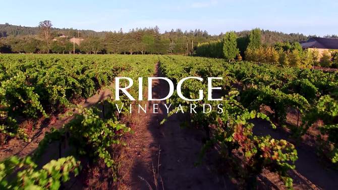 Ridge Lytton Springs Zinfandel Red Wine - 750ml Bottle, 2 of 6, play video
