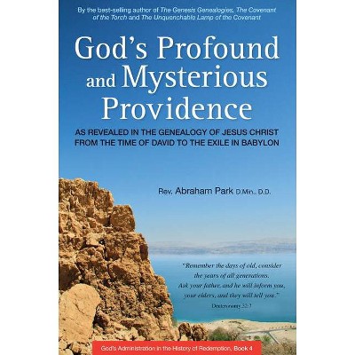 God's Profound and Mysterious Providence - (History of Redemption) by  Abraham Park (Paperback)