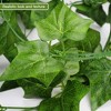 12 Pack Artificial Fake Vines, Artificial Hanging Ivy Vines for Room Decor - 4 of 4