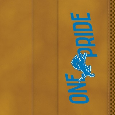 detroit lions