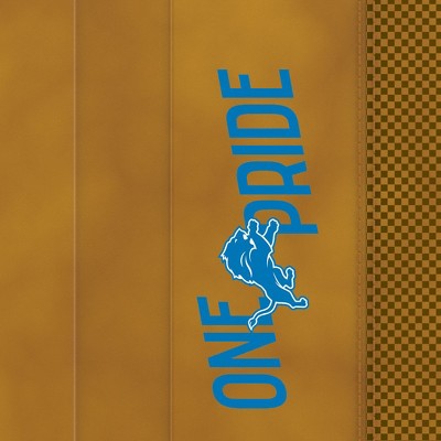 detroit lions