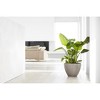 Ecopots Antwerp Durable Modern Round Indoor/Outdoor Recycled-Based Composite Flower Pot Planter - 3 of 4