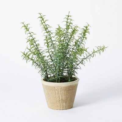 Potted Rosemary - Threshold&#8482; designed with Studio McGee