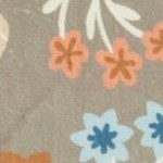 dark beige/light blue