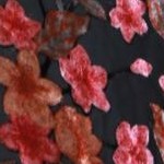 black floral burnout