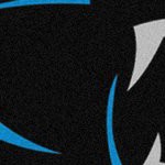 carolina panthers