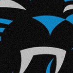 carolina panthers