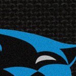 carolina panthers