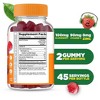 Lifeable - Immune Support - Kids - 90 Gummies - 2 of 2