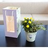 Live Plants Rose Garden Gift Bag - 3 of 3