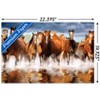 Trends International Horses Unframed Wall Poster Prints - 3 of 4