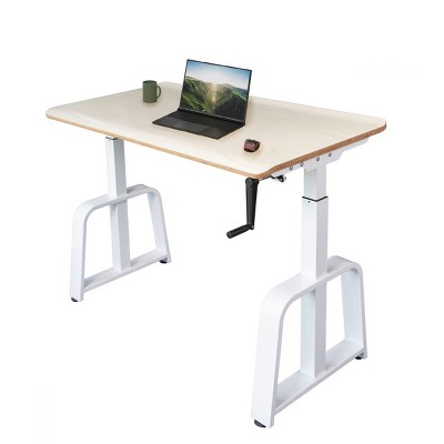 Stand Up Desk Store Programmable Electric Ergonomic 48" Wide Standing Desk
