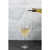 Cuisinart CTG-00-WPS Barware Wine Stopper and Pourer