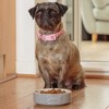 Mason Cash: Embossed Bone Dog Bowl, Gray, 5.9", 17oz, Food & Water Dish - 3 of 4