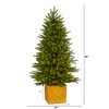 Nearly Natural 5-ft Manchester Fir Artificial Christmas Tree in Decorative Planter with 250 Clear Warm (Multifunction) - 2 of 4