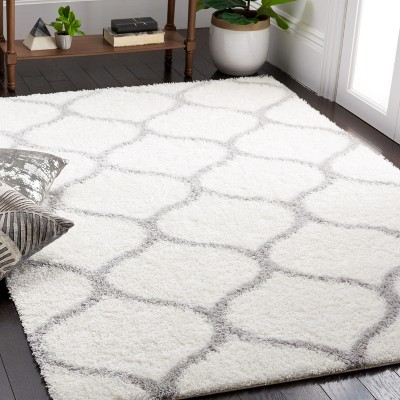 Gray and White Geometric Shag Area Rug, 4' x 6'