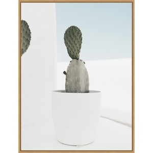 Amanti Art Minimal Cactus Santorini by Bella Eve Canvas Wall Art Print Framed - 1 of 4